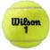 Wilson Roland Garros All Court - 8 Bälle